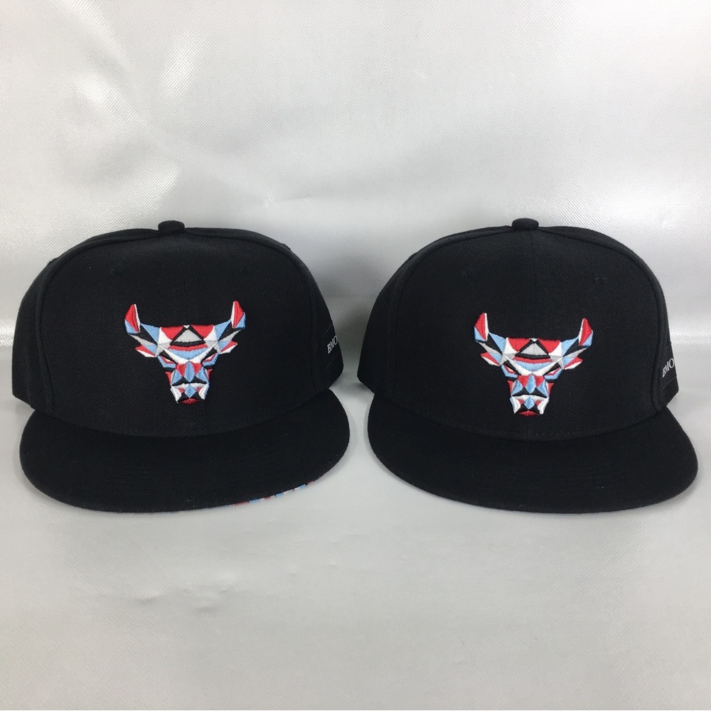 Chicago Bulls Artist Series Kate Lewis Graffiti Snapback Hat 2018/19 Lot…